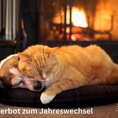 Inselliebe Unter Reet *