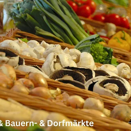 Inselliebe Unter Reet Appartement