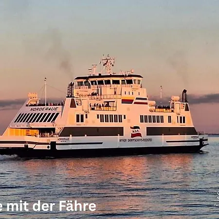 Inselliebe Unter Reet *